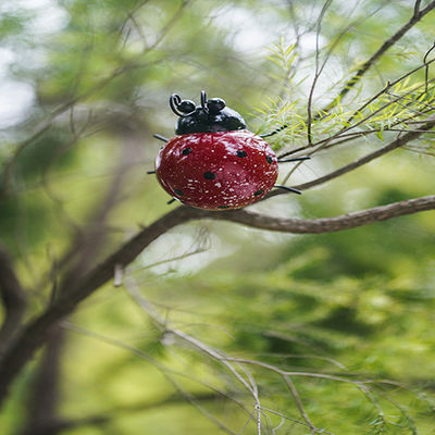Outdoor Ladybug Metal Yard Art Decor Wall Sculpture For Garden