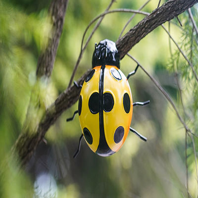 Backyard Metal Ladybug Decor Outdoor Garden Ladybird Ornaments