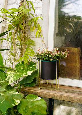 Exquisite Metal Yard Ornaments Decorations Indoor / Outdoor Garden Pot